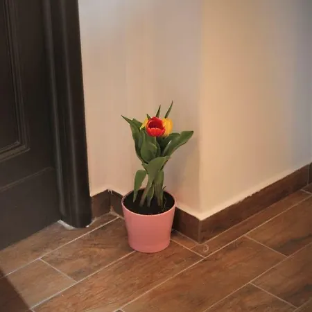 Majorana Palace Apartment Catania